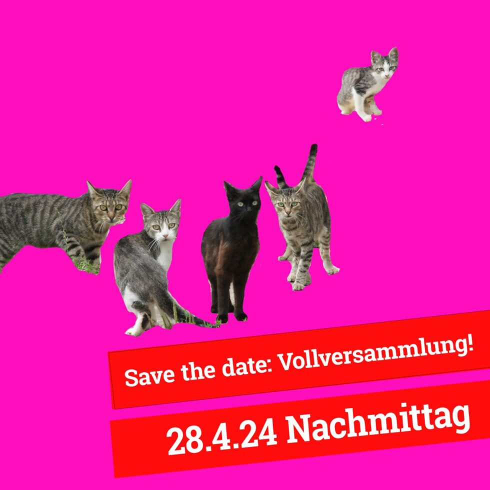 Save the date: Vollversammlung! 28.4.24 Nachmittag